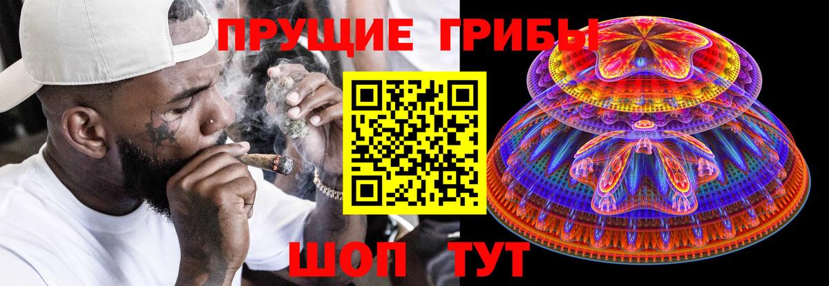 Галлюциногенные грибы мухоморы Губаха
