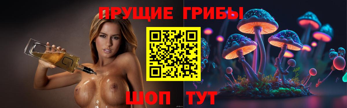 Псилоцибиновые грибы мицелий  Галлюциногенные грибы мицелий  Губаха  закладка  Вход с VPN 